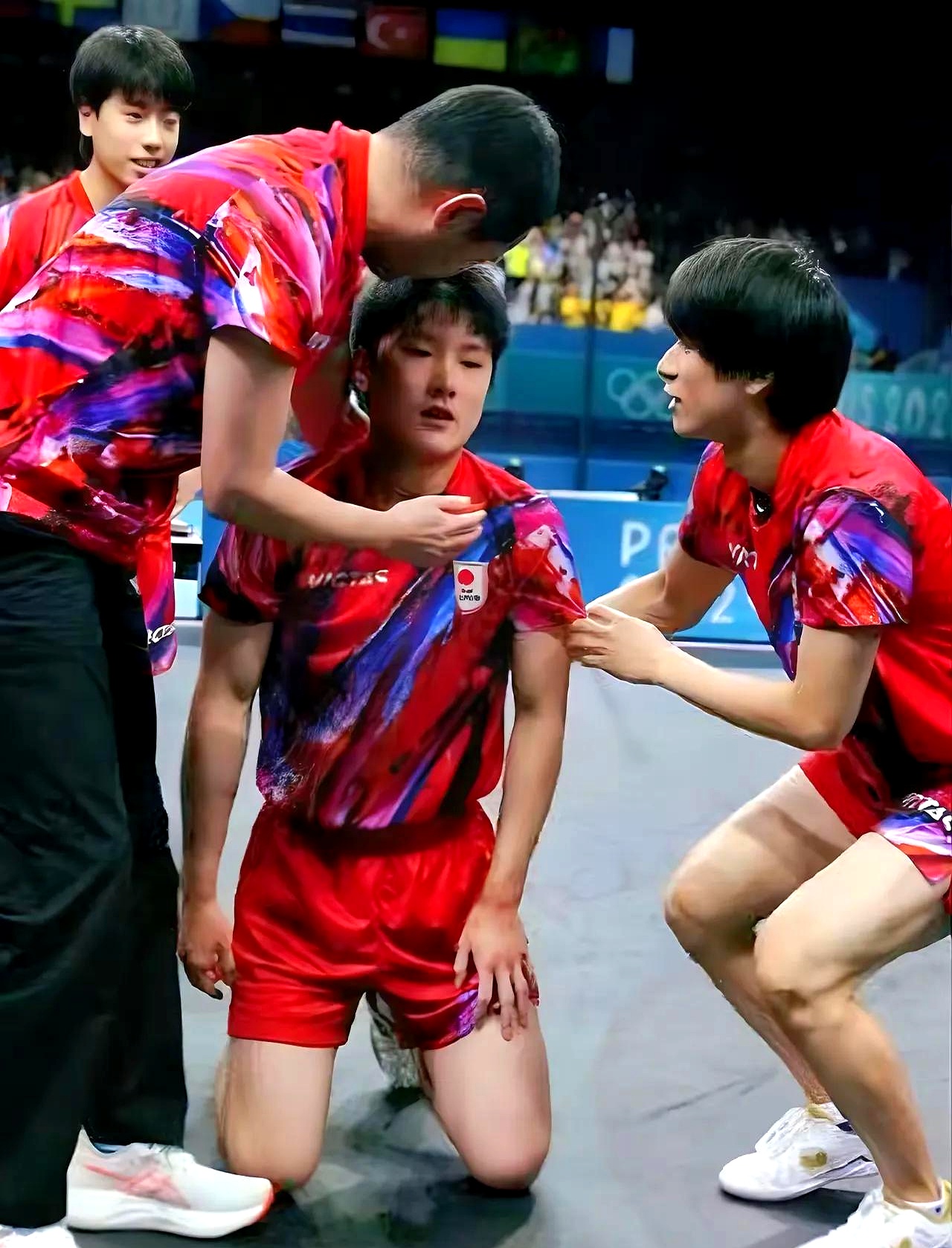 波兰队险胜日本队，张本智和统治全场