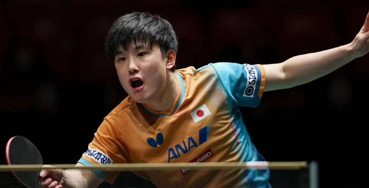 韩国队翻盘波兰队，张本智和高光表现