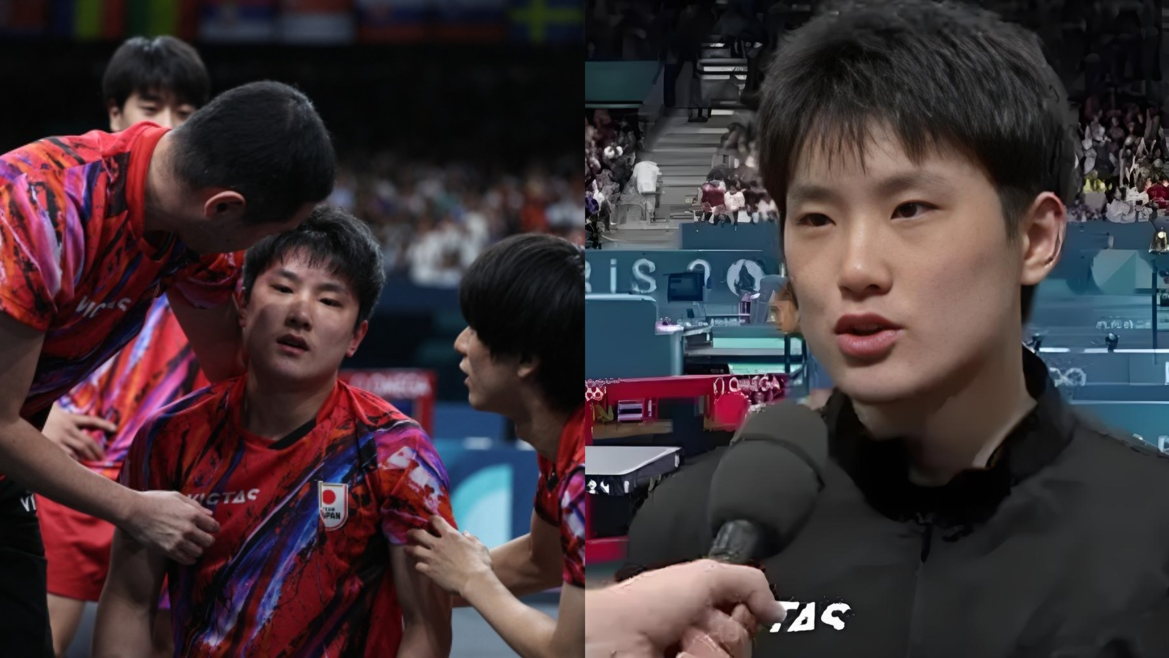 韩国队翻盘波兰队，张本智和高光表现